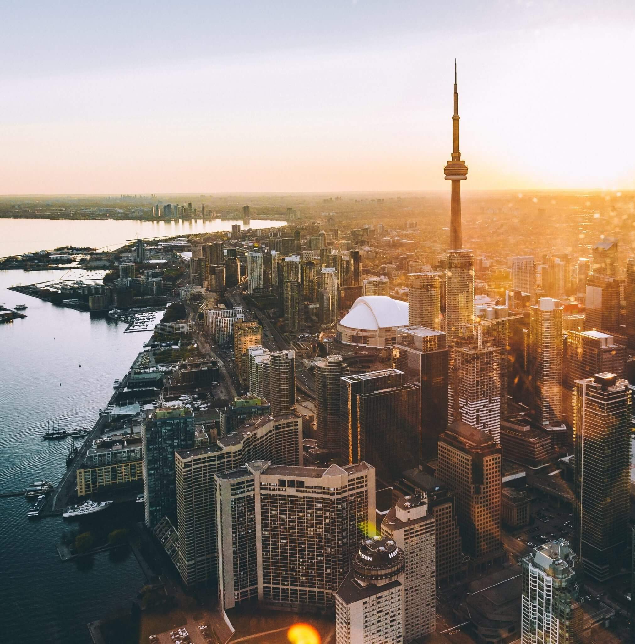toronto moving best moving companies