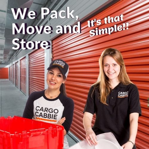 pack move store