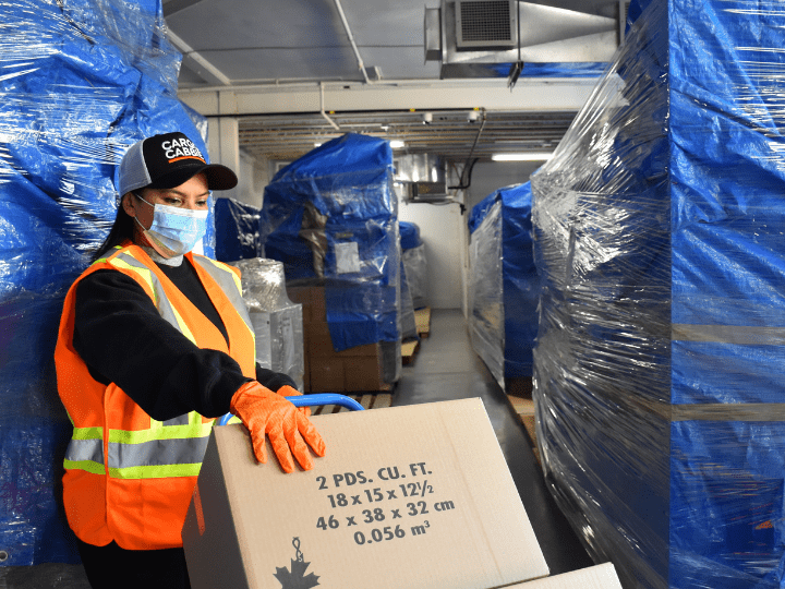 full service moving and storage